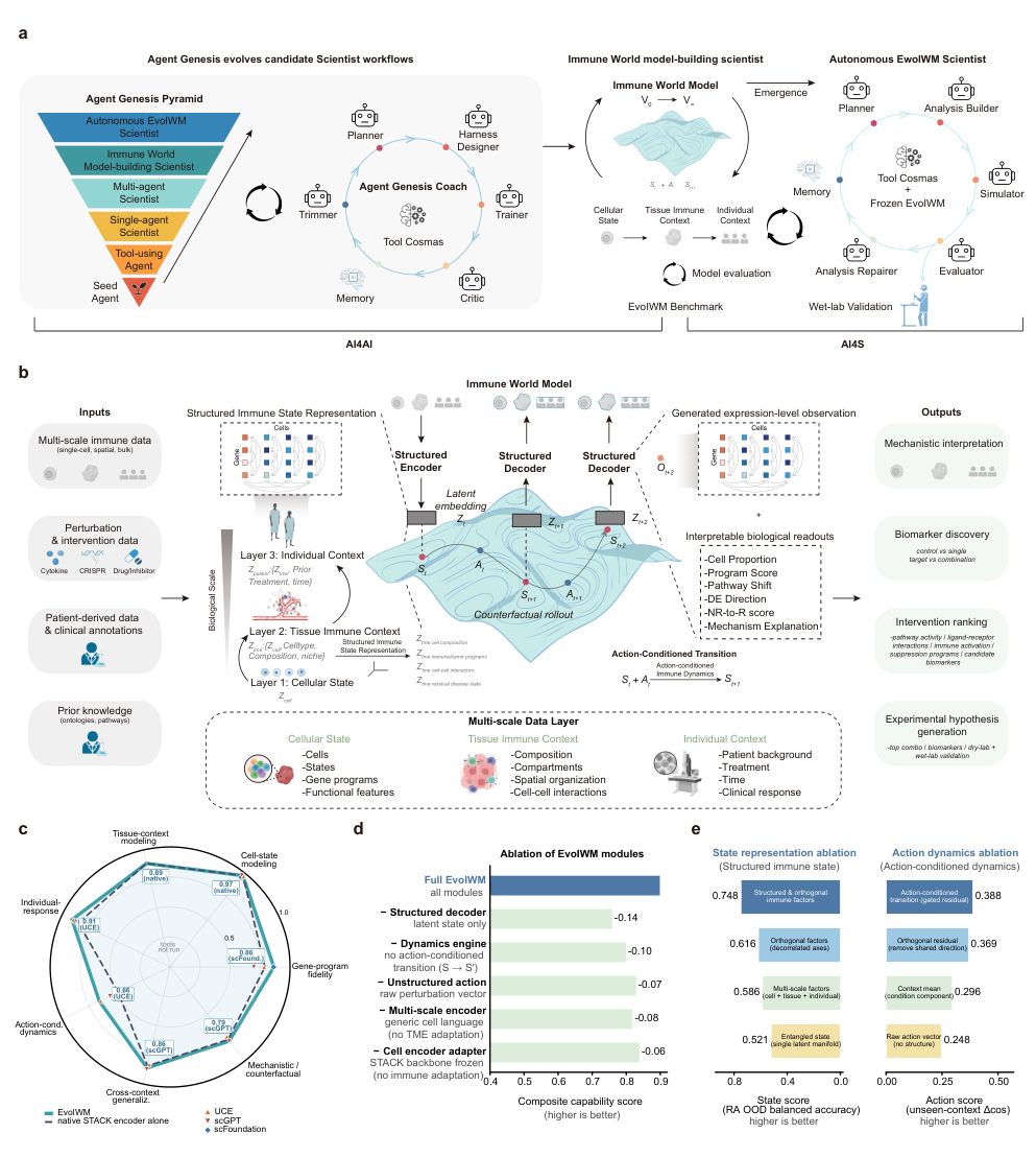 Architecture of an immune world model linking cellular state, tissue immune context and individual context through a governed AI Scientist workflow