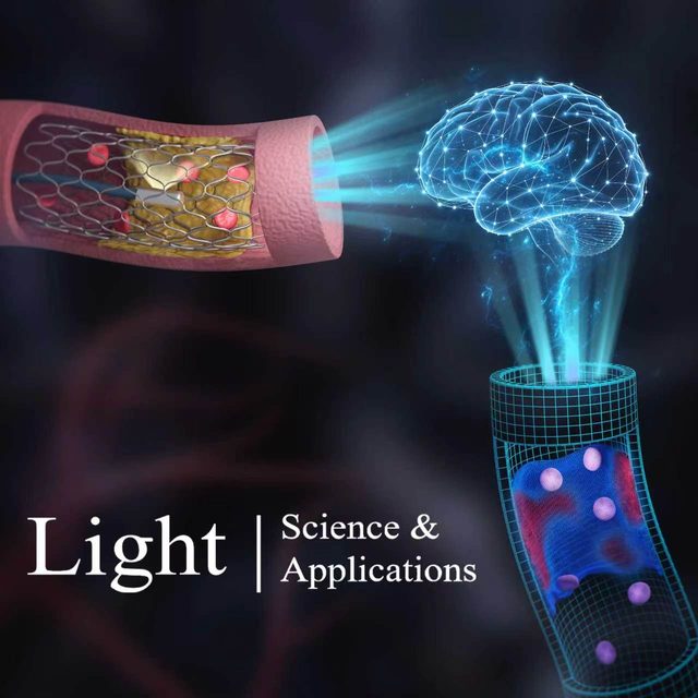 Light Science & Applications article on intelligent photonics and digital twins